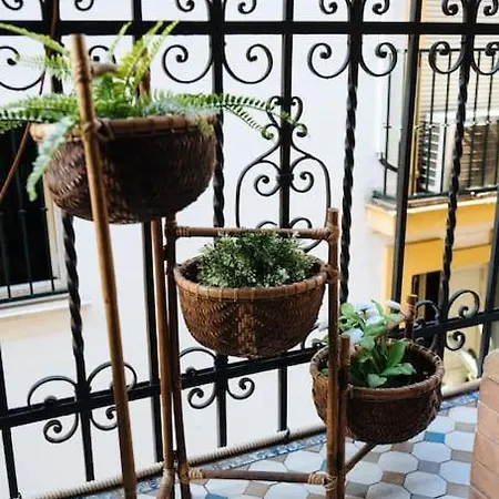 Andalusian Flavour In Heart Of * 4'giralda Séville